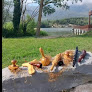 Danus Estética Miranda De Ebro en vélez-málaga